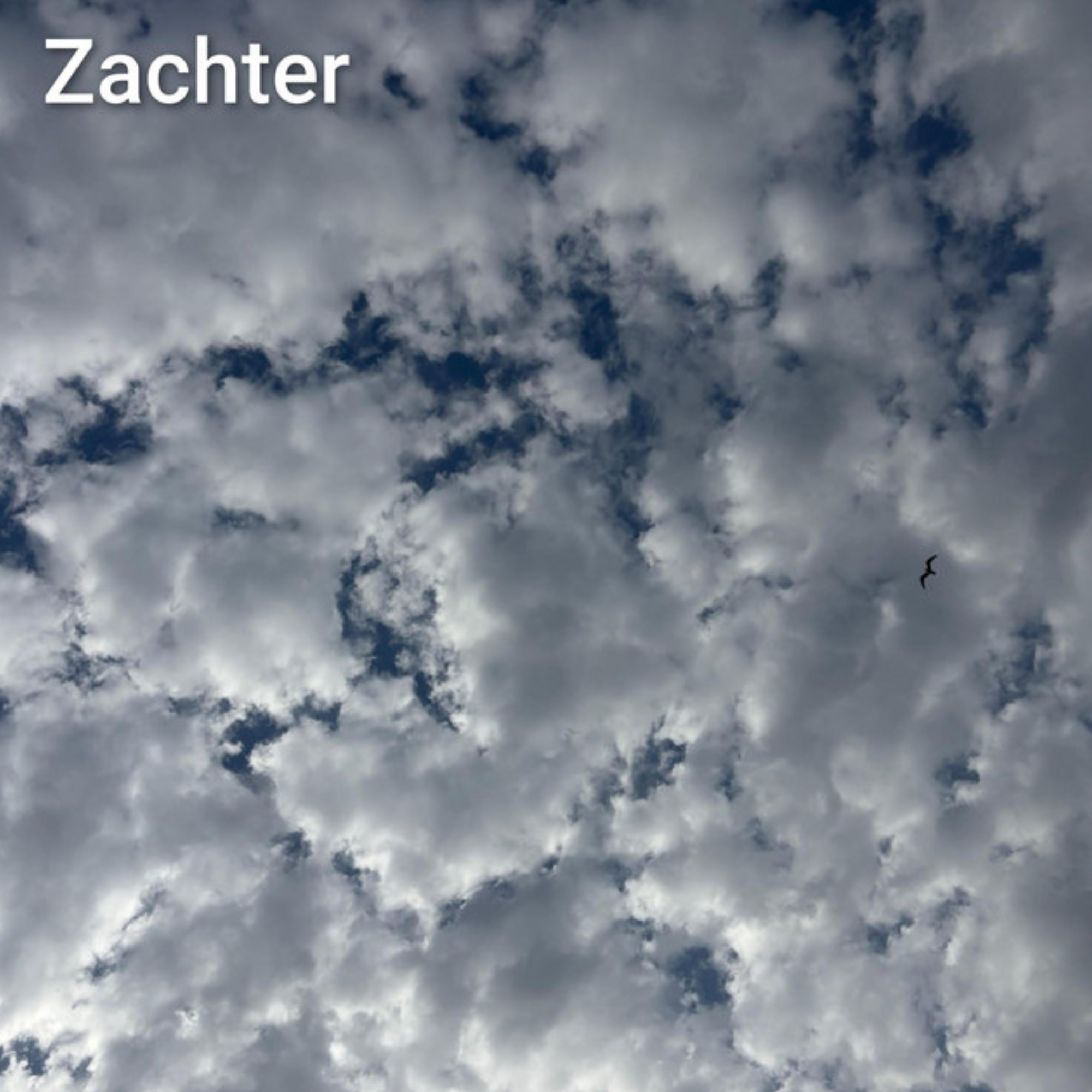Cover Zachter Heleen