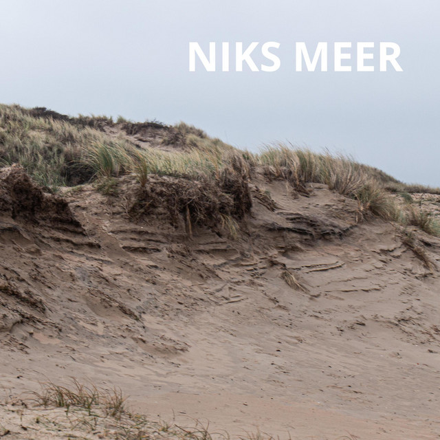 Cover Niks Meer - Heleen